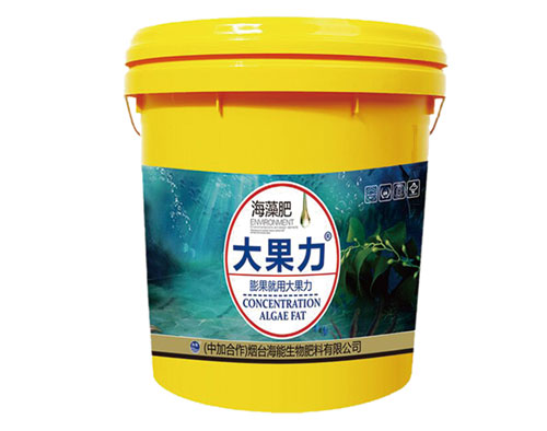 91大香蕉黄片喷施的最佳喷施时间，由桶装膨果肥公司来告诉大家！