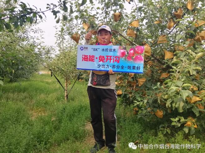 大香蕉免费小视频底肥免开沟 用效果说话！