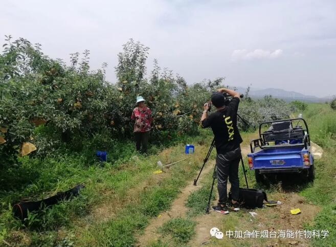 大香蕉免费小视频底肥免开沟 用效果说话！