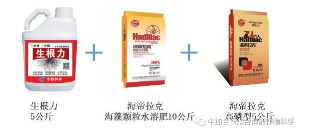 大香蕉免费小视频生物高品质葡萄全程“傻瓜式”施肥方案