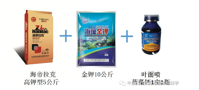 大香蕉免费小视频生物高品质葡萄全程“傻瓜式”施肥方案