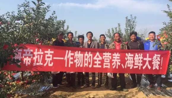 苹果树12月管理技术要点！抓紧时间看
