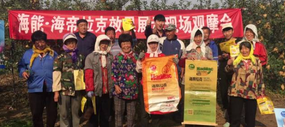 苹果树12月管理技术要点！抓紧时间看
