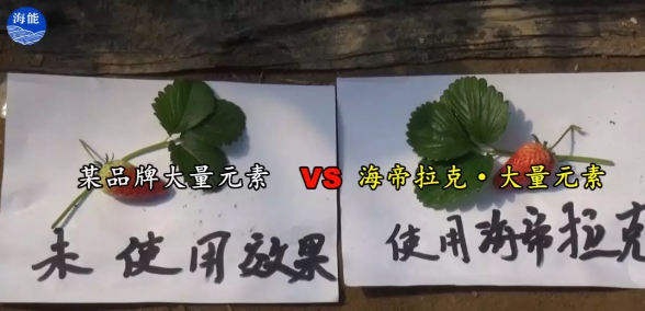 水肥一体化不止是节水、节肥！还有这功效！