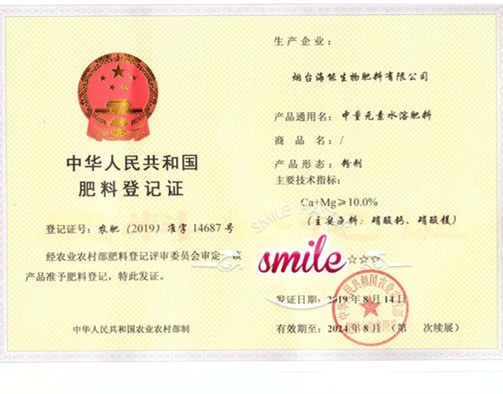 付出终会有回报，功夫不负有心人