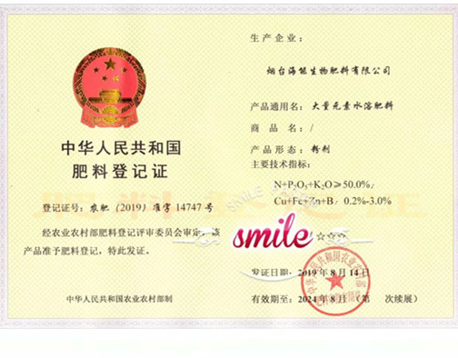 付出终会有回报，功夫不负有心人