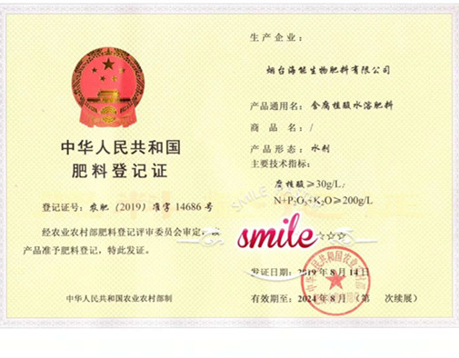 付出终会有回报，功夫不负有心人