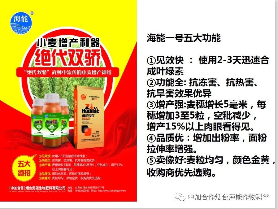 抗寒利器，大香蕉免费小视频1号