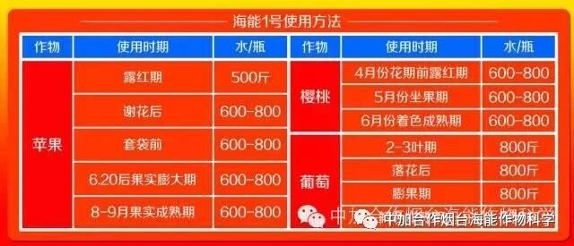 抗寒利器，大香蕉免费小视频1号